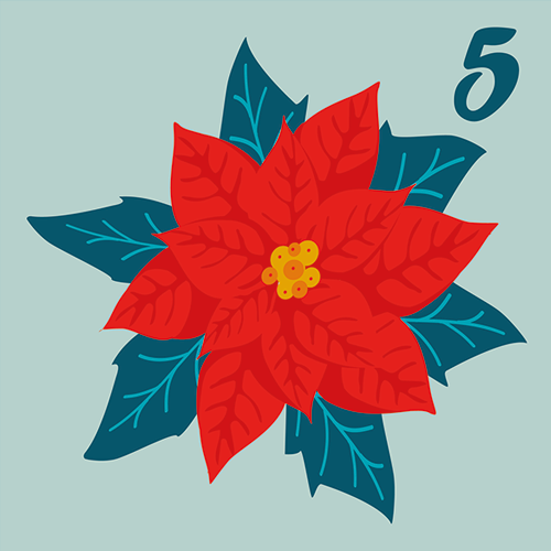 door-5 Diciembre