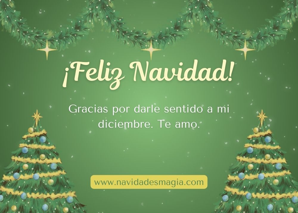 frases navideñas originales, motivadoras y llenas de significado, creadas para inspirar, compartir y transmitir la magia de la Navidad en familia, con amigos, pareja o en cualquier área de la vida. Cada frase está diseñada para conectar emocionalmente con el lector y acompañar momentos especiales durante estas fiestas, convirtiéndose en un mensaje perfecto para redes sociales, tarjetas, estados o publicaciones navideñas. Estas imágenes con frases navideñas buscan iluminar el corazón, fortalecer la esperanza y recordar el verdadero espíritu de la temporada: amor, unión, gratitud y paz.